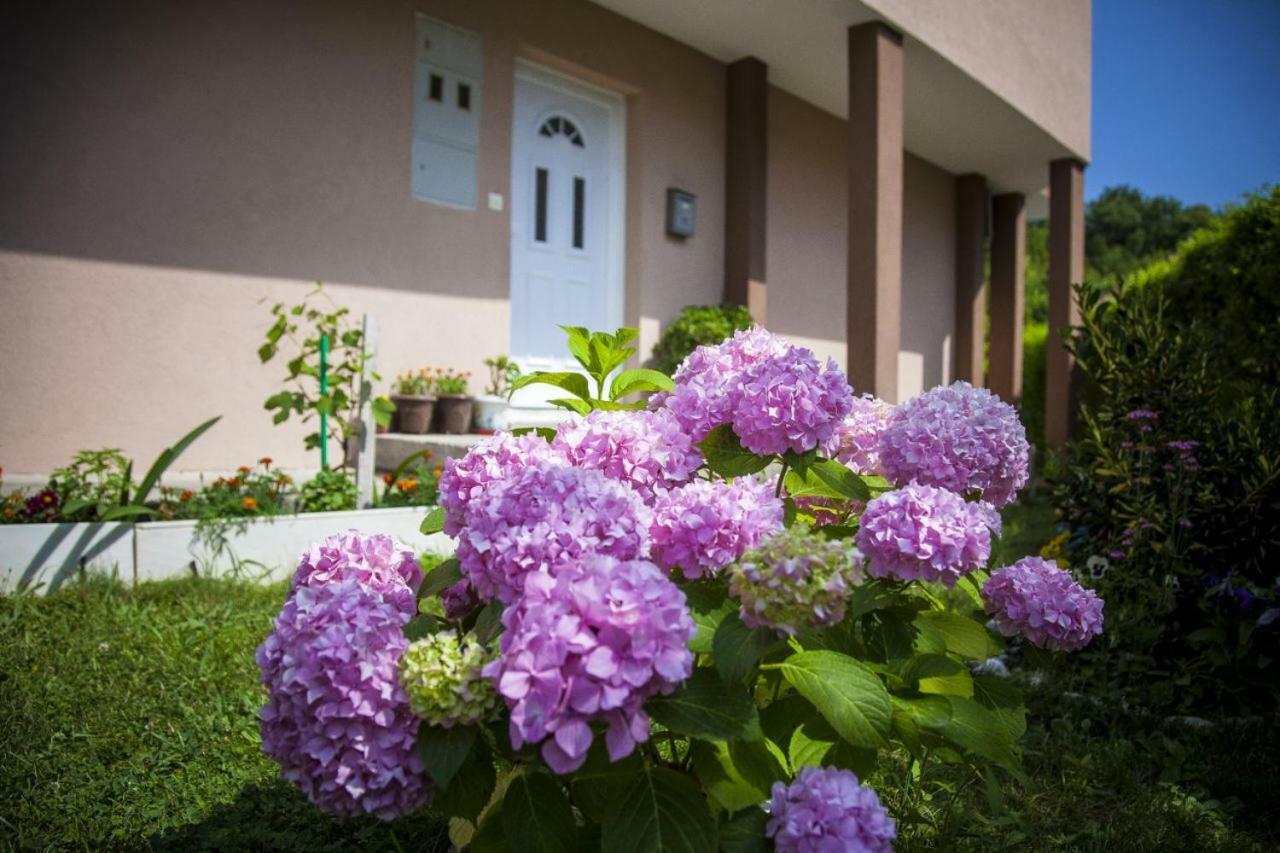Kuca Bulajic Apartment Budva